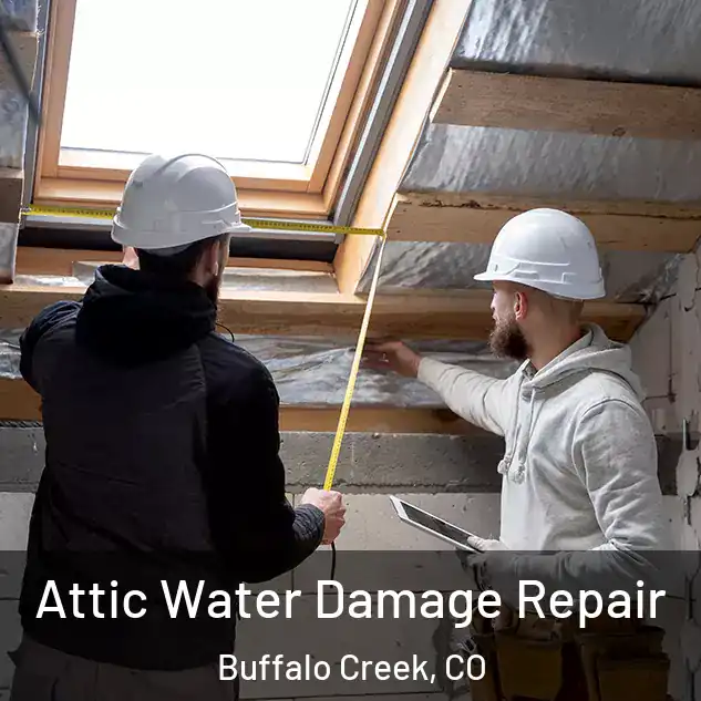  Attic Water Damage Repair Buffalo Creek, CO