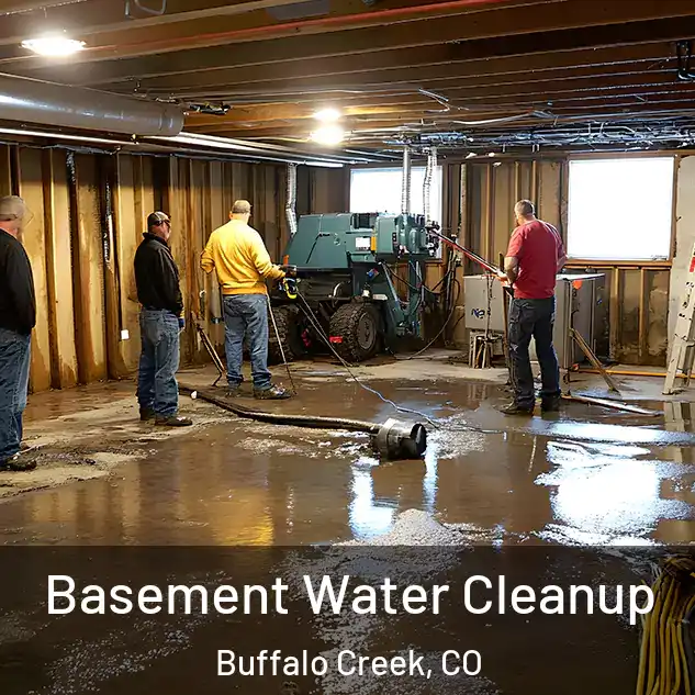  Basement Water Cleanup Buffalo Creek, CO
