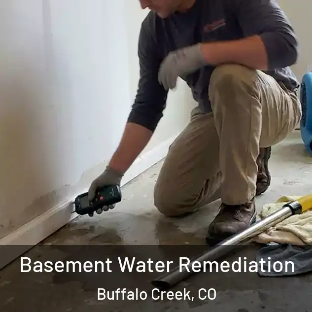  Basement Water Remediation Buffalo Creek, CO