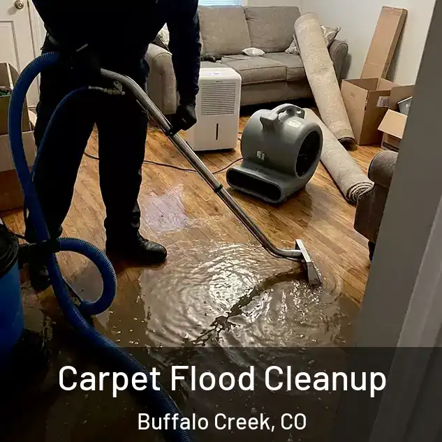  Carpet Flood Cleanup Buffalo Creek, CO