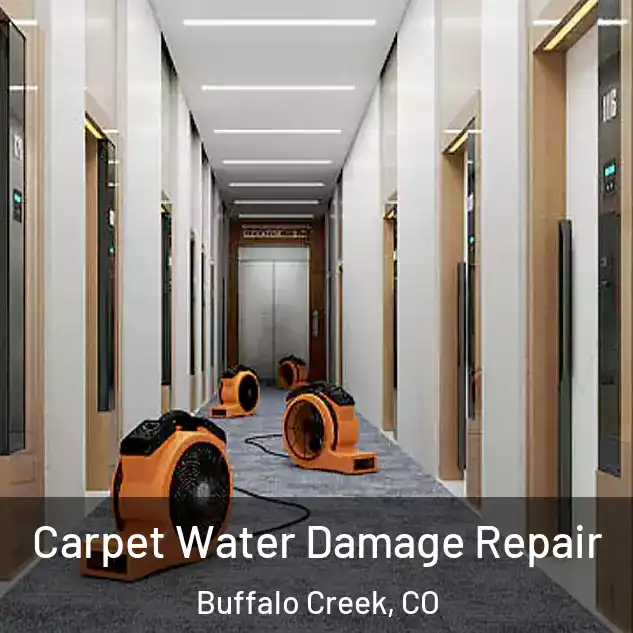  Carpet Water Damage Repair Buffalo Creek, CO