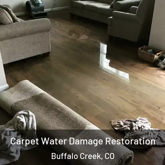  Carpet Water Damage Restoration Buffalo Creek, CO
