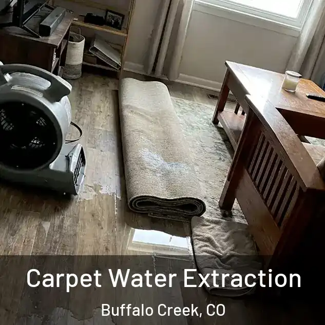  Carpet Water Extraction Buffalo Creek, CO