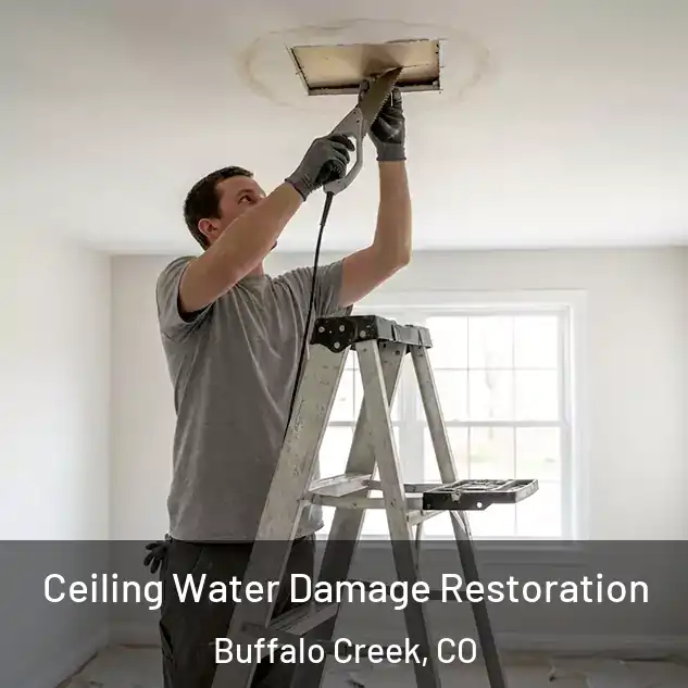  Ceiling Water Damage Restoration Buffalo Creek, CO