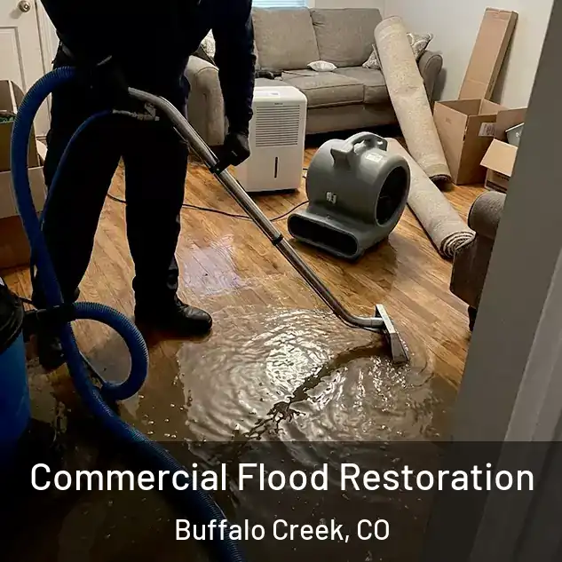  Commercial Flood Restoration Buffalo Creek, CO