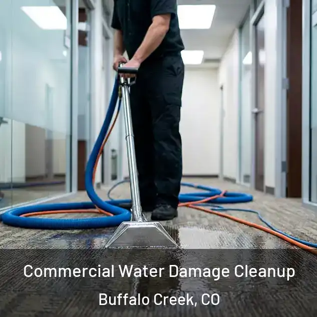  Commercial Water Damage Cleanup Buffalo Creek, CO