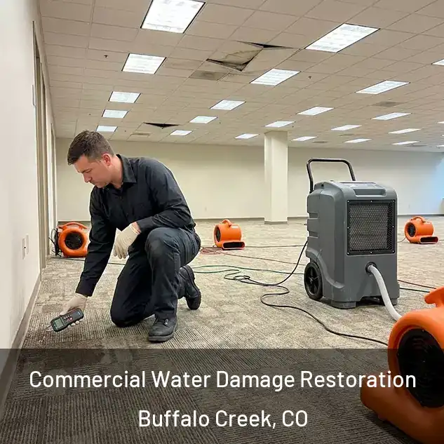  Commercial Water Damage Restoration Buffalo Creek, CO