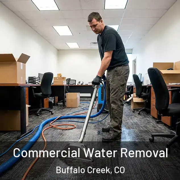  Commercial Water Removal Buffalo Creek, CO