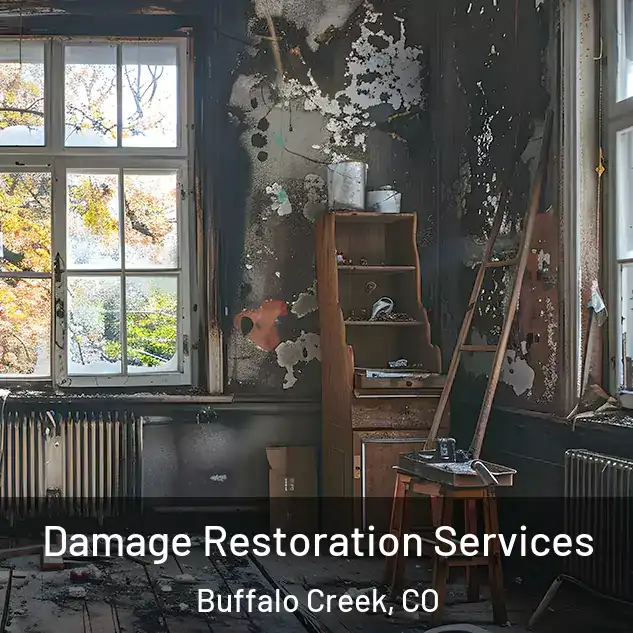  Damage Restoration Services Buffalo Creek, CO