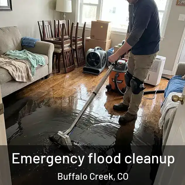  Emergency flood cleanup Buffalo Creek, CO