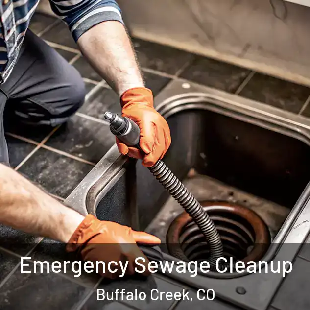  Emergency Sewage Cleanup Buffalo Creek, CO