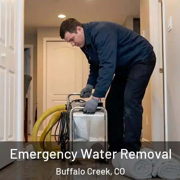  Emergency Water Removal Buffalo Creek, CO