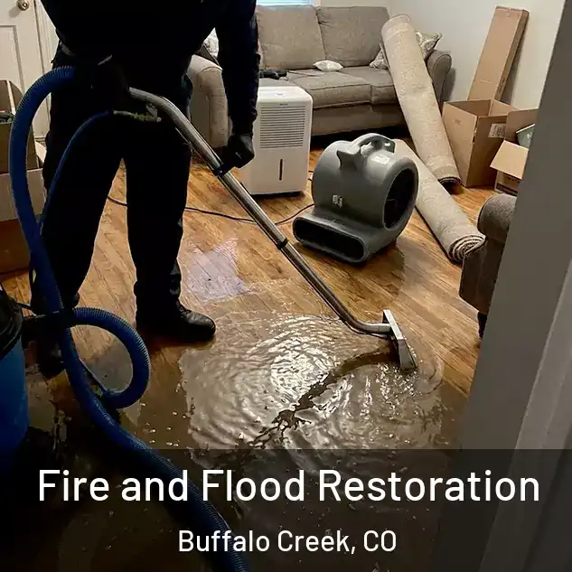  Fire and Flood Restoration Buffalo Creek, CO