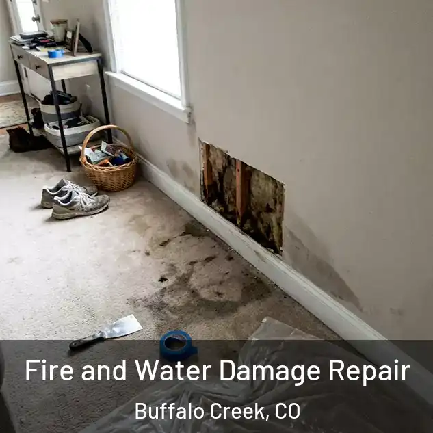  Fire and Water Damage Repair Buffalo Creek, CO