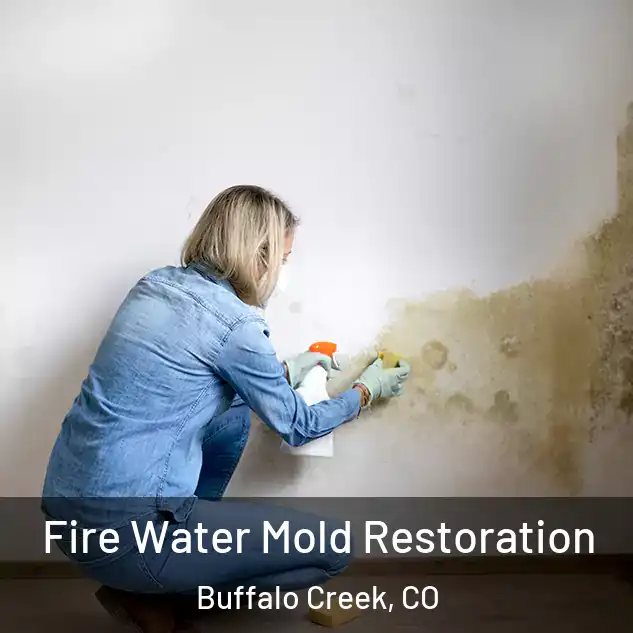  Fire Water Mold Restoration Buffalo Creek, CO