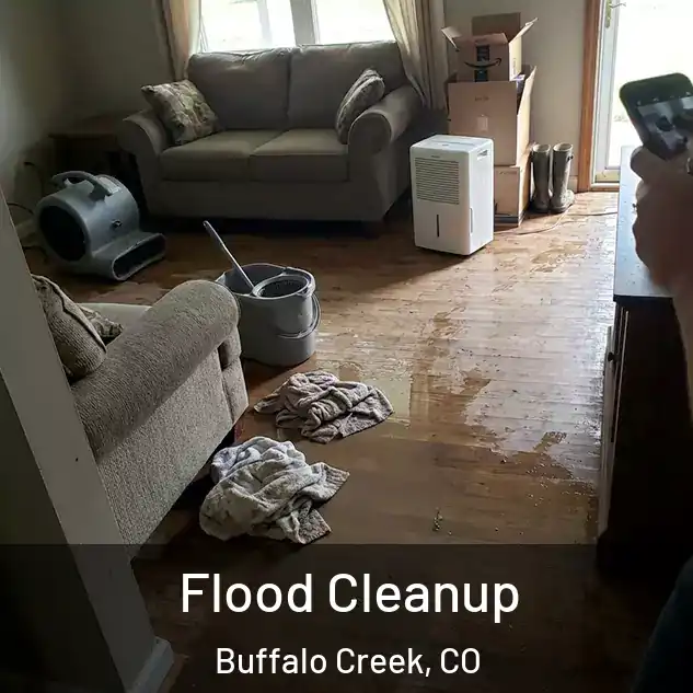  Flood Cleanup Buffalo Creek, CO