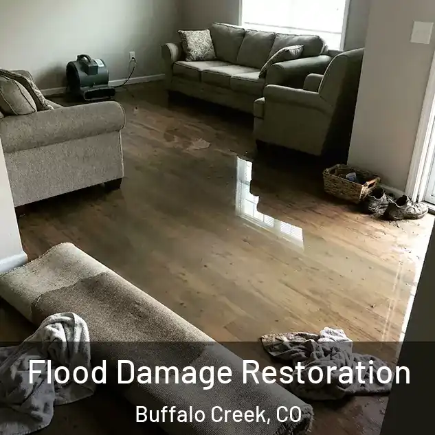  Flood Damage Restoration Buffalo Creek, CO