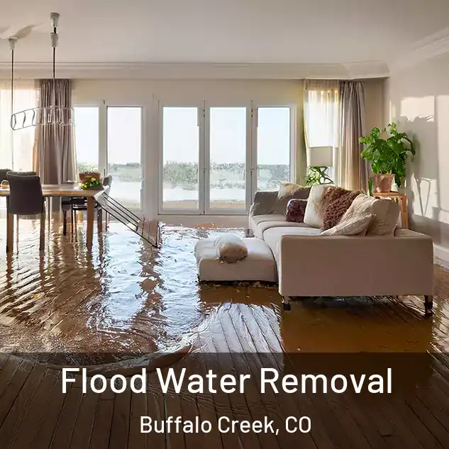  Flood Water Removal Buffalo Creek, CO