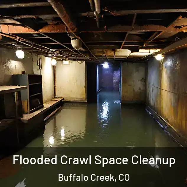  Flooded Crawl Space Cleanup Buffalo Creek, CO