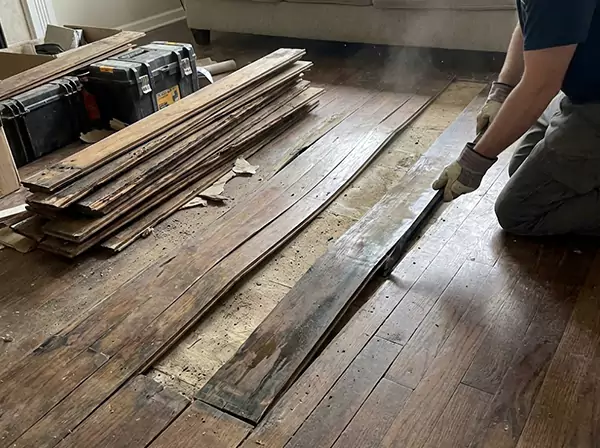 Water Damage Drying in Buffalo Creek