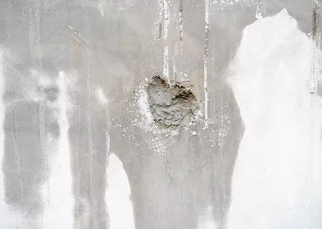 Your Mold Mitigation Solutions Partner in Buffalo Creek, CO