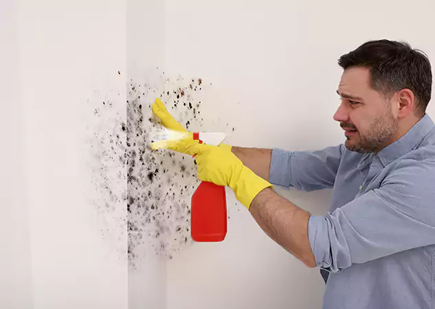 Your Water Mold Fire Restoration Partner in Buffalo Creek, CO