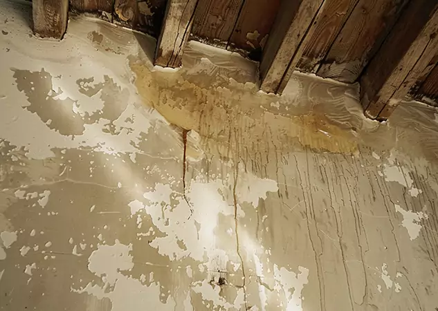 Your Trusted Restoration Company in Buffalo Creek, CO