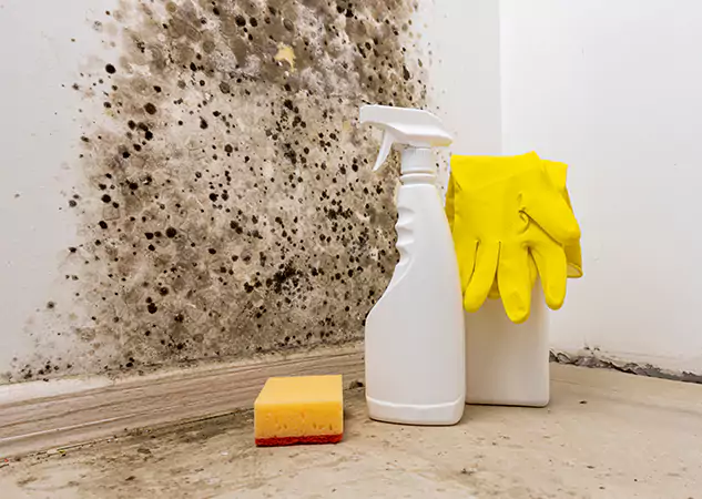 Your Reliable Restoration Company in Buffalo Creek, CO