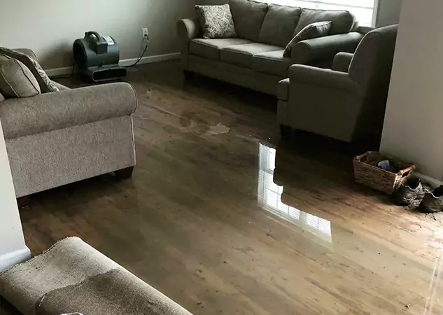 Your Trusted Restoration Company in Buffalo Creek, CO