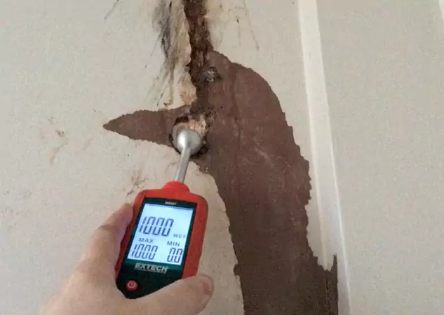 Your Water Damage Assessment Partner in Buffalo Creek, CO