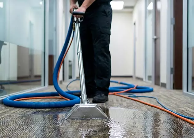 Your Water Damaged Carpet Restoration Partner in Buffalo Creek, CO