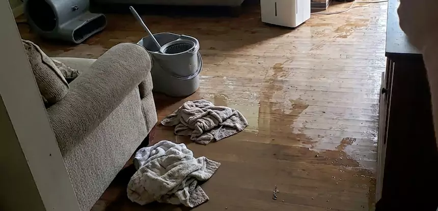 Professional Basement Water Remediation Services in Buffalo Creek, CO