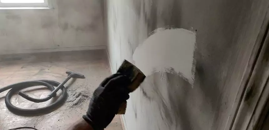 Professional Water and Fire Damage Restoration Services in Buffalo Creek, CO