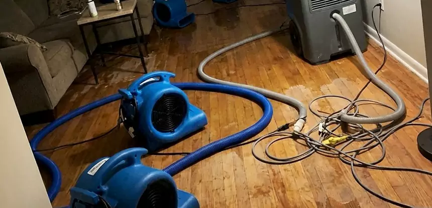 Basement Flood Restoration Services in Buffalo Creek