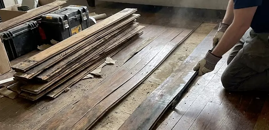 Wood Rot and Fungus Repair in Buffalo Creek