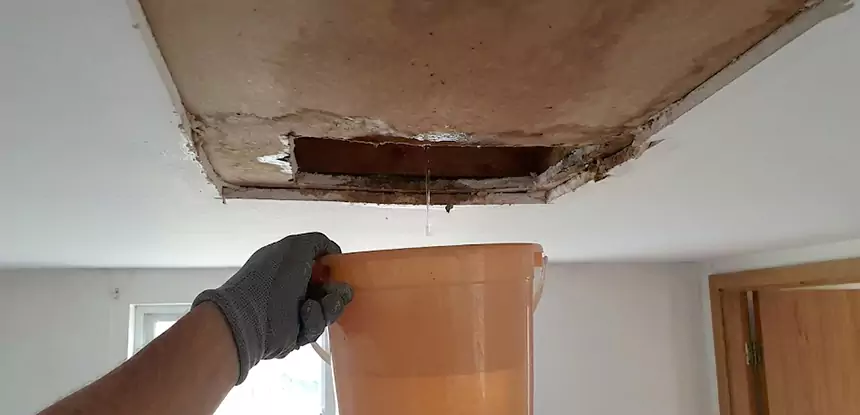 Ceiling Mold Repair Buffalo Creek 