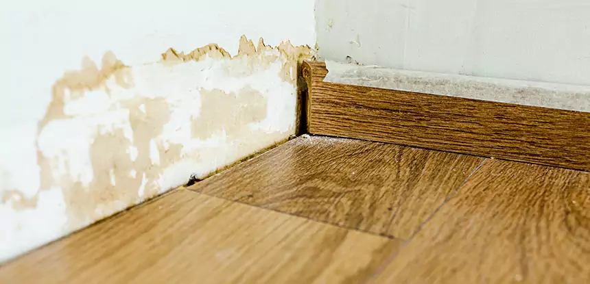 Professional Fix Water Damaged Wood Services in Buffalo Creek, CO