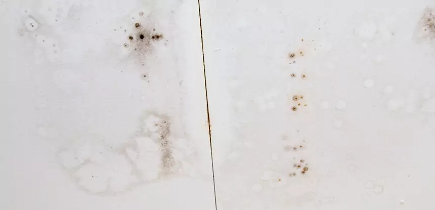Professional Water Stain Repair Services in Buffalo Creek, CO