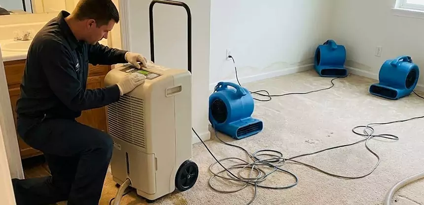 Professional Wet Carpet Removal Services in Buffalo Creek, CO