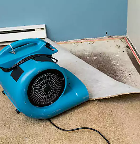 Why Buffalo Creek Trusts Buffalo Creek Restoration Pro for Carpet Flood Recovery?