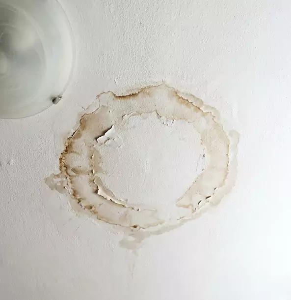 Why Buffalo Creek Property Owners Choose Buffalo Creek Restoration Pro for Ceiling Water Damage Restoration?