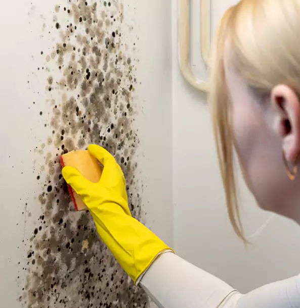 Why Buffalo Creek Restoration Pro Leads Mold Remediation in Buffalo Creek?