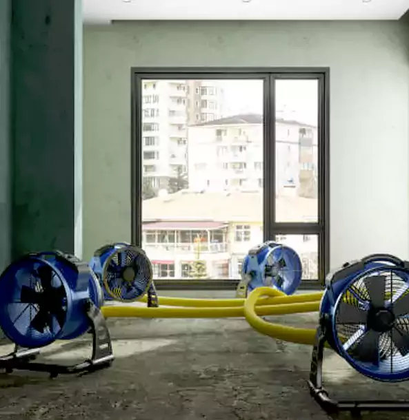 Why Buffalo Creek Property Owners Trust Buffalo Creek Restoration Pro for Water Damage Drying?