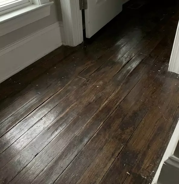 Why Buffalo Creek Homeowners Trust Buffalo Creek Restoration Pro to Fix Water Damaged Wood?