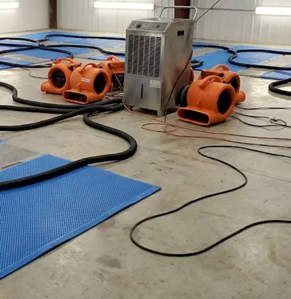 Why Buffalo Creek Homeowners and Businesses Choose Buffalo Creek Restoration Pro for Wet Carpet Removal?