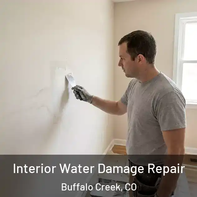  Interior Water Damage Repair Buffalo Creek, CO