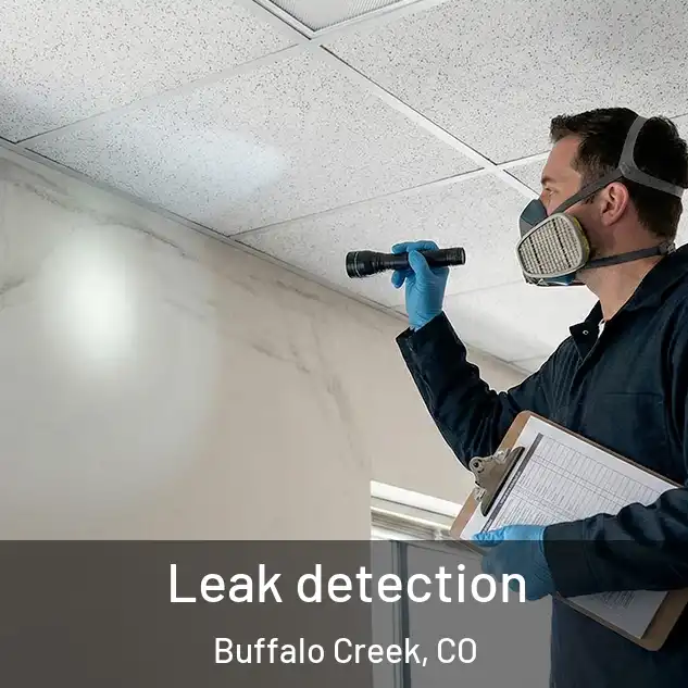  Leak detection Buffalo Creek, CO