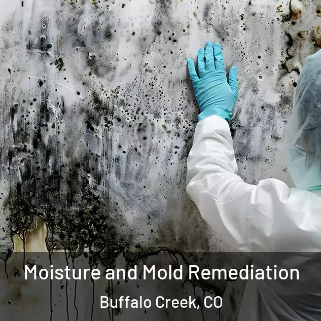  Moisture and Mold Remediation Buffalo Creek, CO