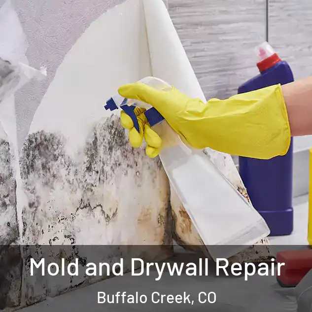  Mold and Drywall Repair Buffalo Creek, CO