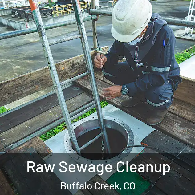  Raw Sewage Cleanup Buffalo Creek, CO
